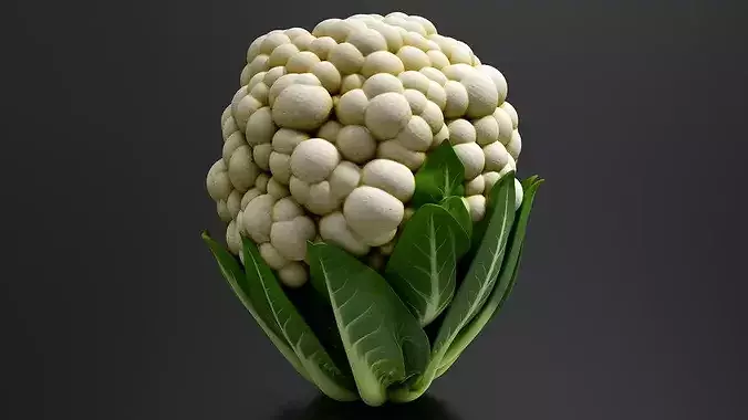 Cauliflower 01 3D print model 2