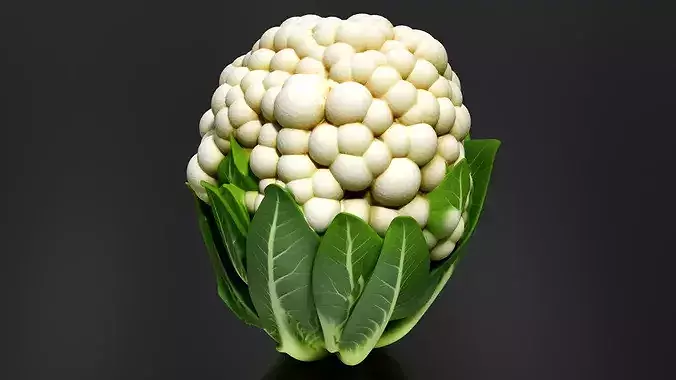 Cauliflower 01 3D print model 3