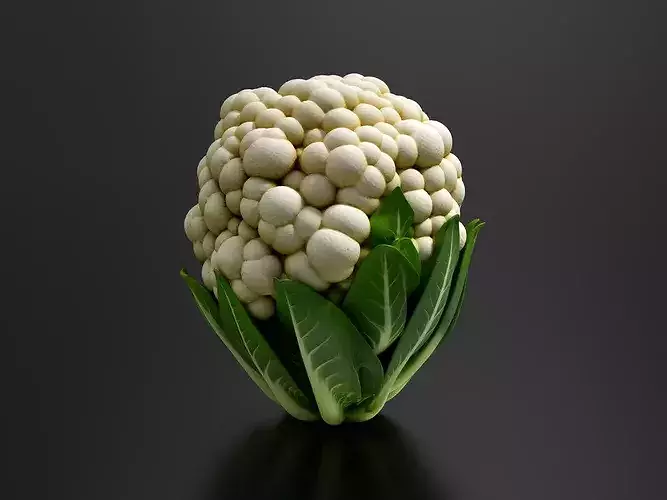 Cauliflower 01 3D print model