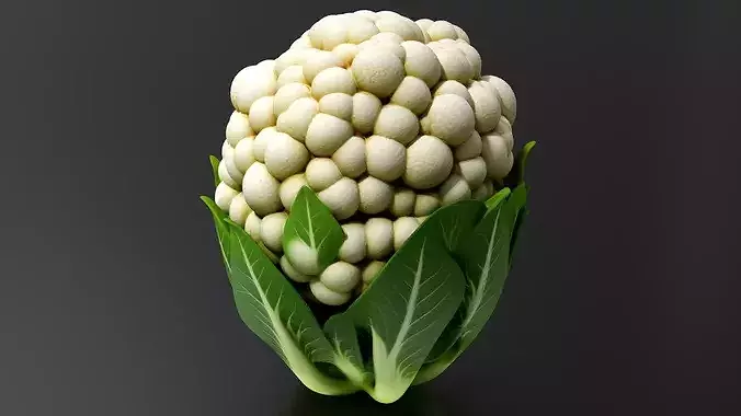 Cauliflower 01 3D print model 4