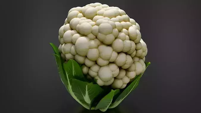 Cauliflower 01 3D print model 5