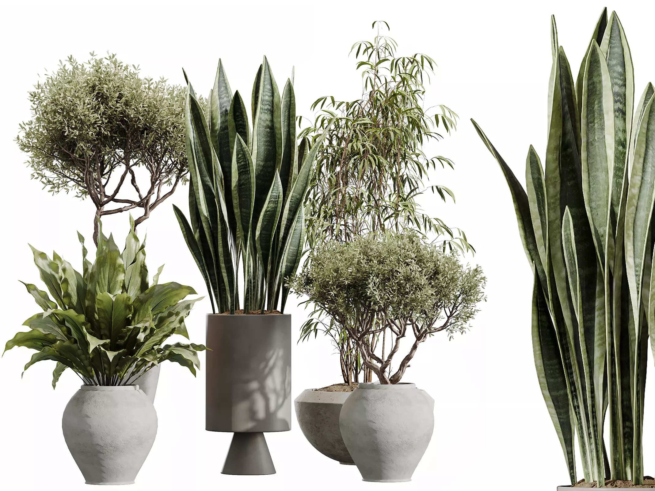 AV Indoor Plants Set 450 Olive Sansevieria Peace Lily Ficus 3D model