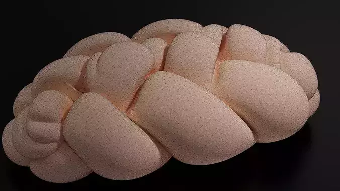 Challah Bread 01 -02 3D print model 7