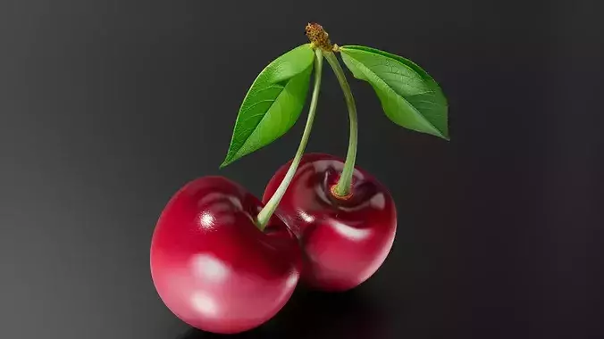 Cherry 01 3D print model 4