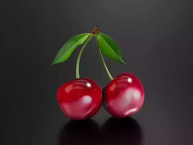 Cherry 01 3D print model