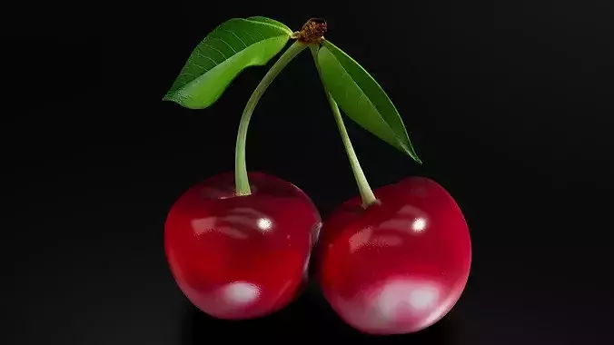 Cherry 01 3D print model 6