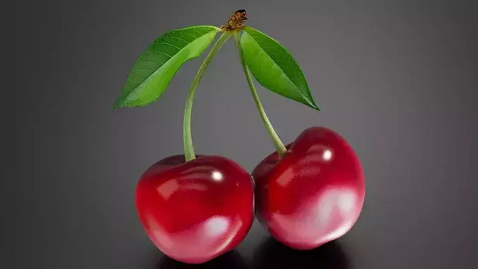 Cherry 01 3D print model 5
