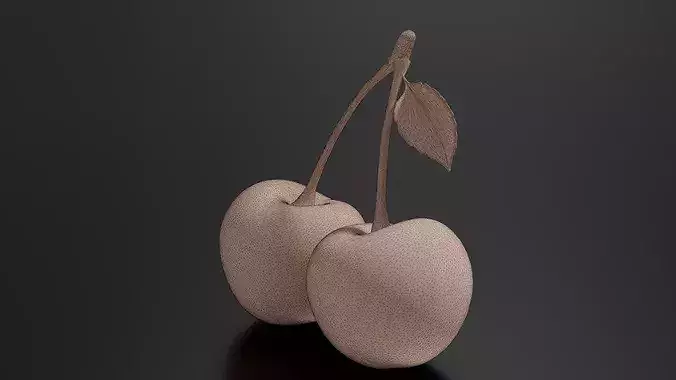 Cherry 03 3D print model 7