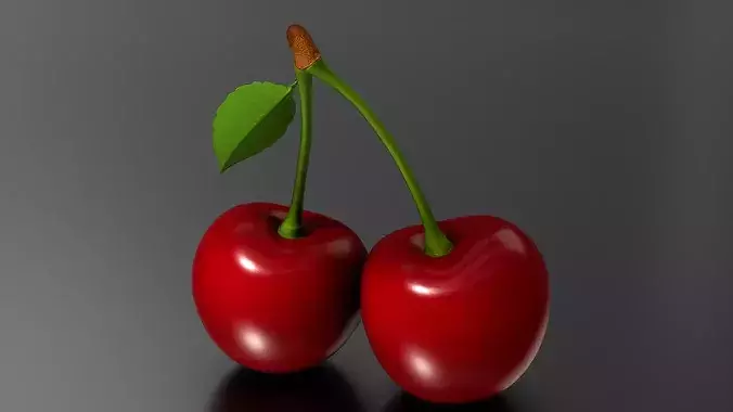 Cherry 03 3D print model 4