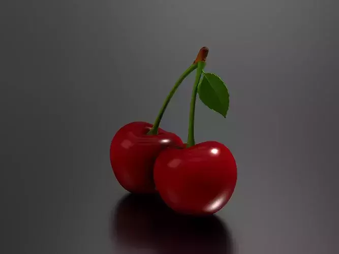 Cherry 03 3D print model