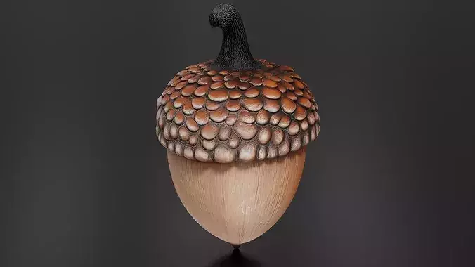 chestnut 02 3D print model 3