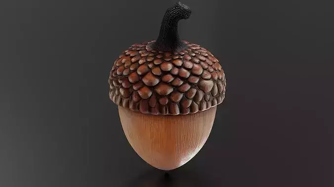 chestnut 02 3D print model 5