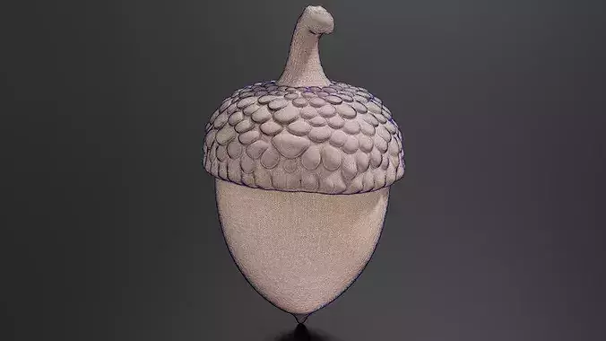 chestnut 02 3D print model 7