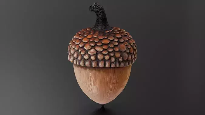 chestnut 02 3D print model 4