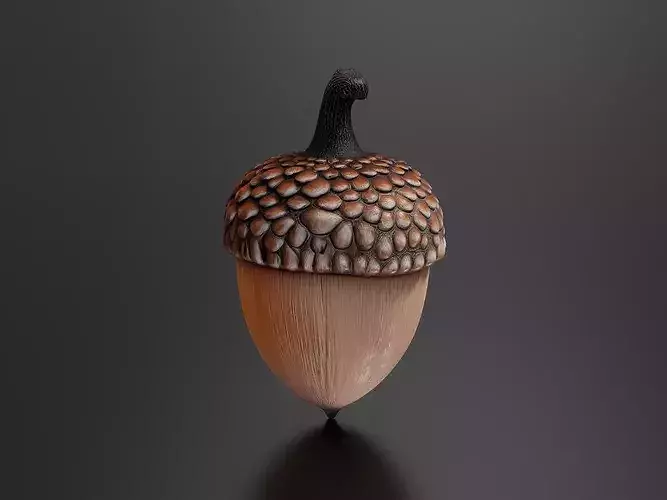 chestnut 02 3D print model