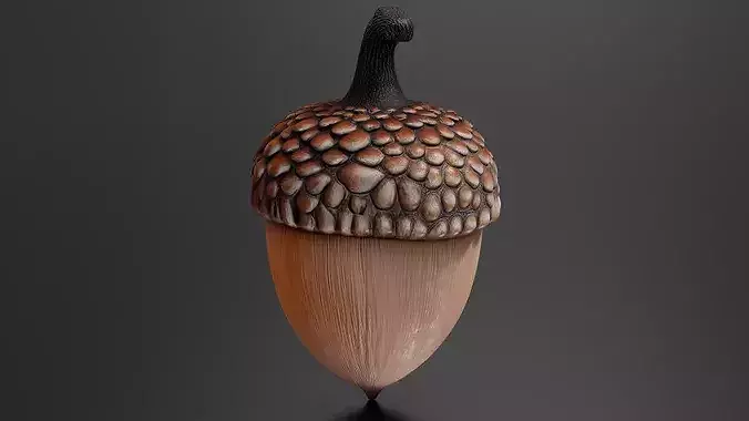 chestnut 02 3D print model 2