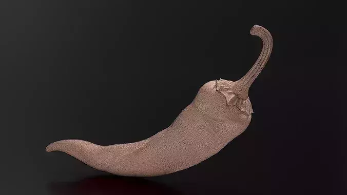 chilli 03 3D print model 7