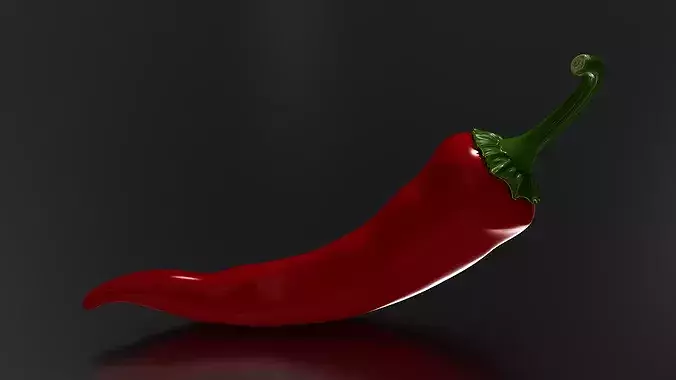 chilli 03 3D print model 5
