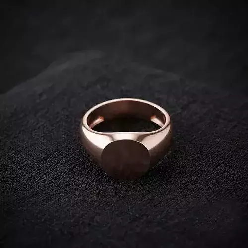 Jewelry Signet Ring v2 S Size