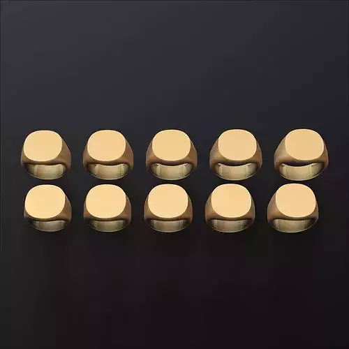 Jewelry Signet Ring v2 L Size