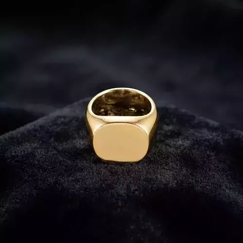 Jewelry Signet Ring v2 L Size