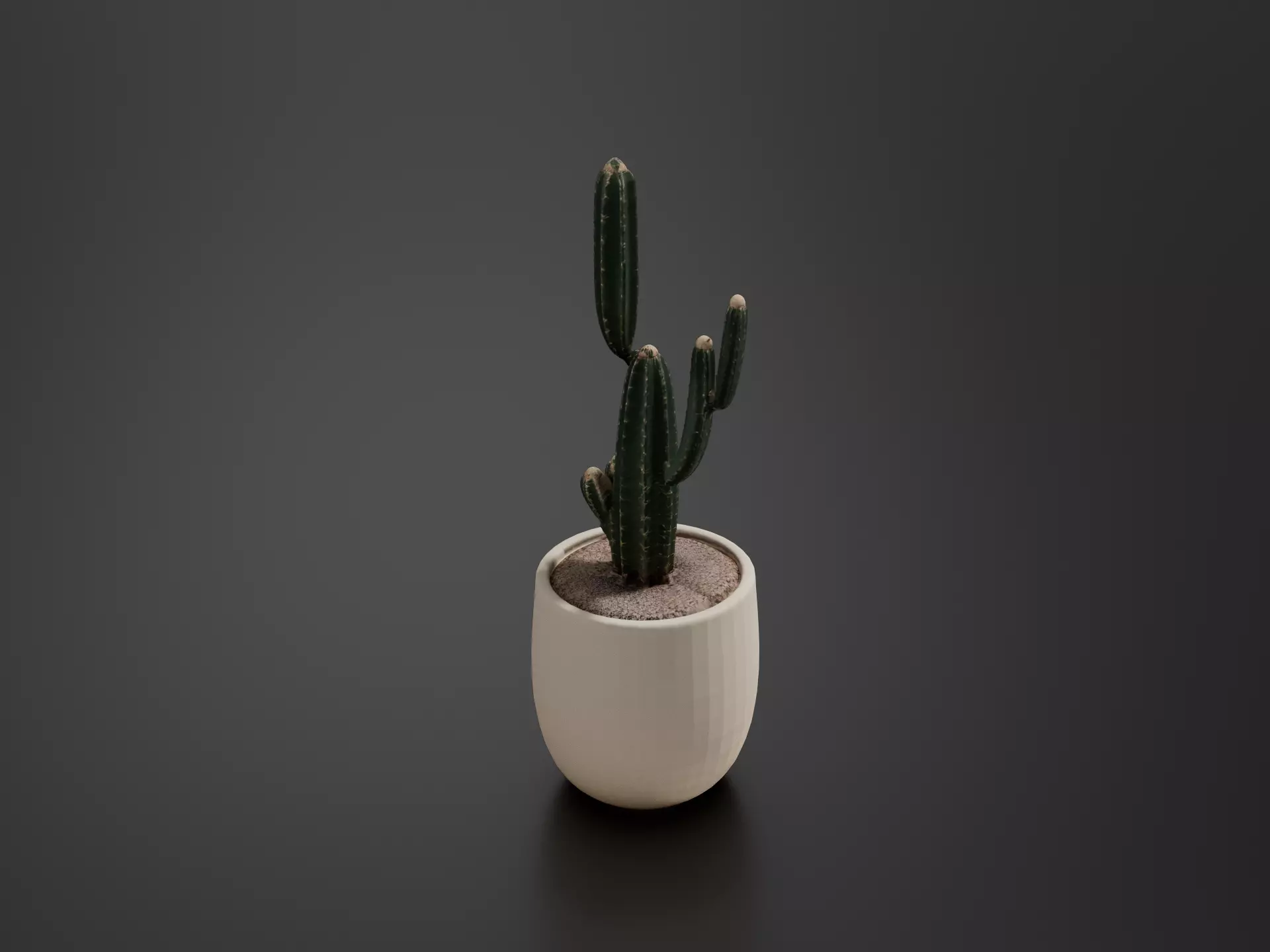 columnar cactus 3D print model