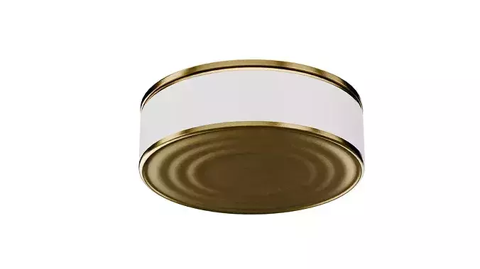 Tin Can Low-poly 3D model 4