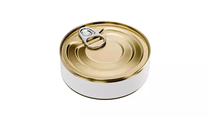 Tin Can Low-poly 3D model 6