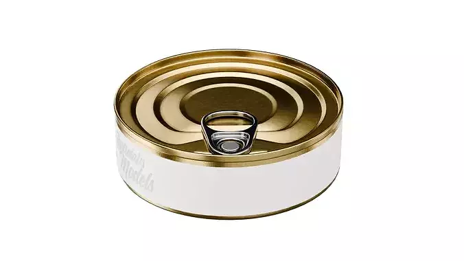 Tin Can Low-poly 3D model 5