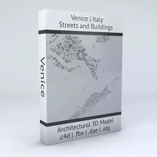 Venice Streets and Buildings