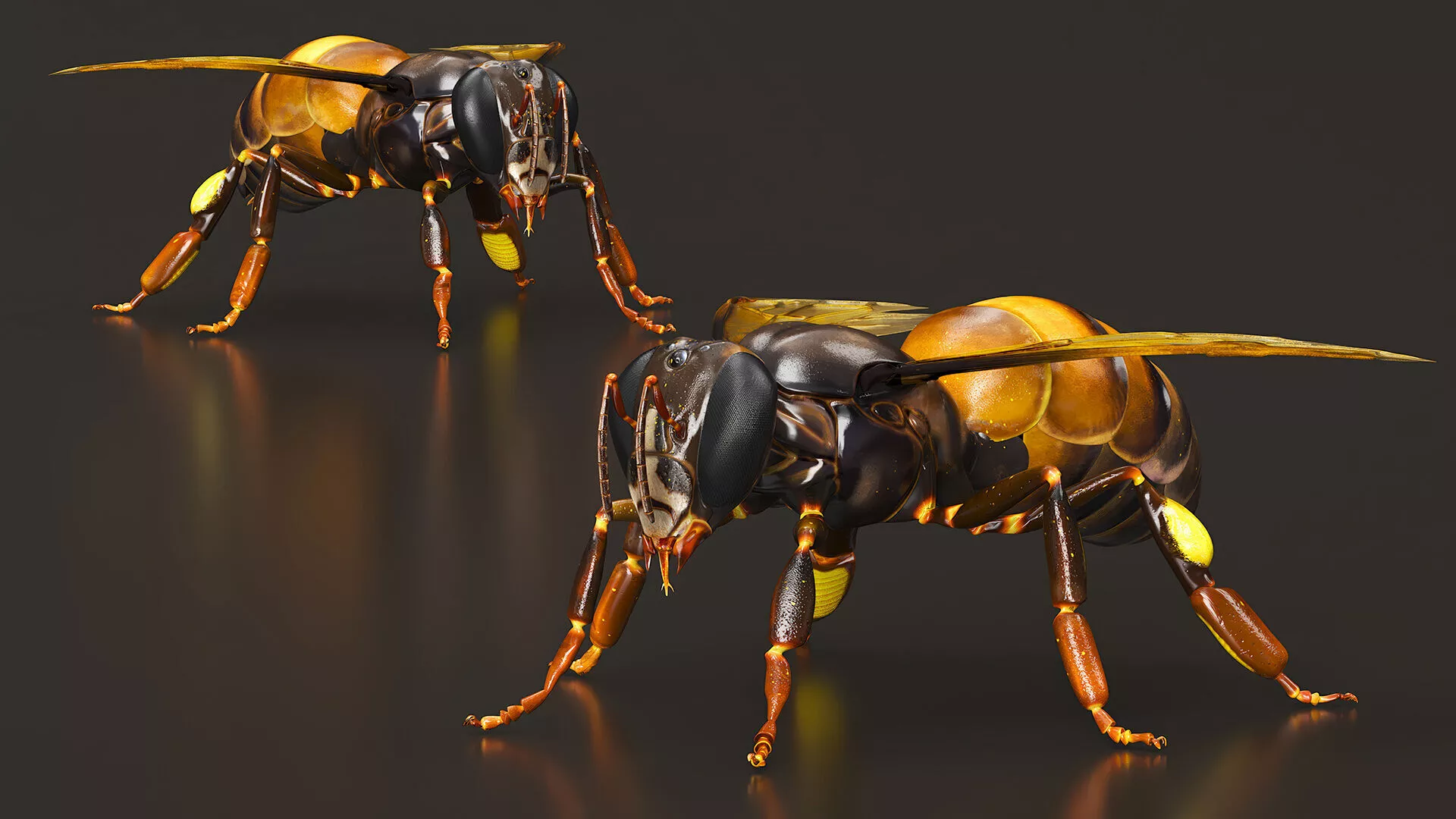 Honey Bee Insect Rigged 3D model