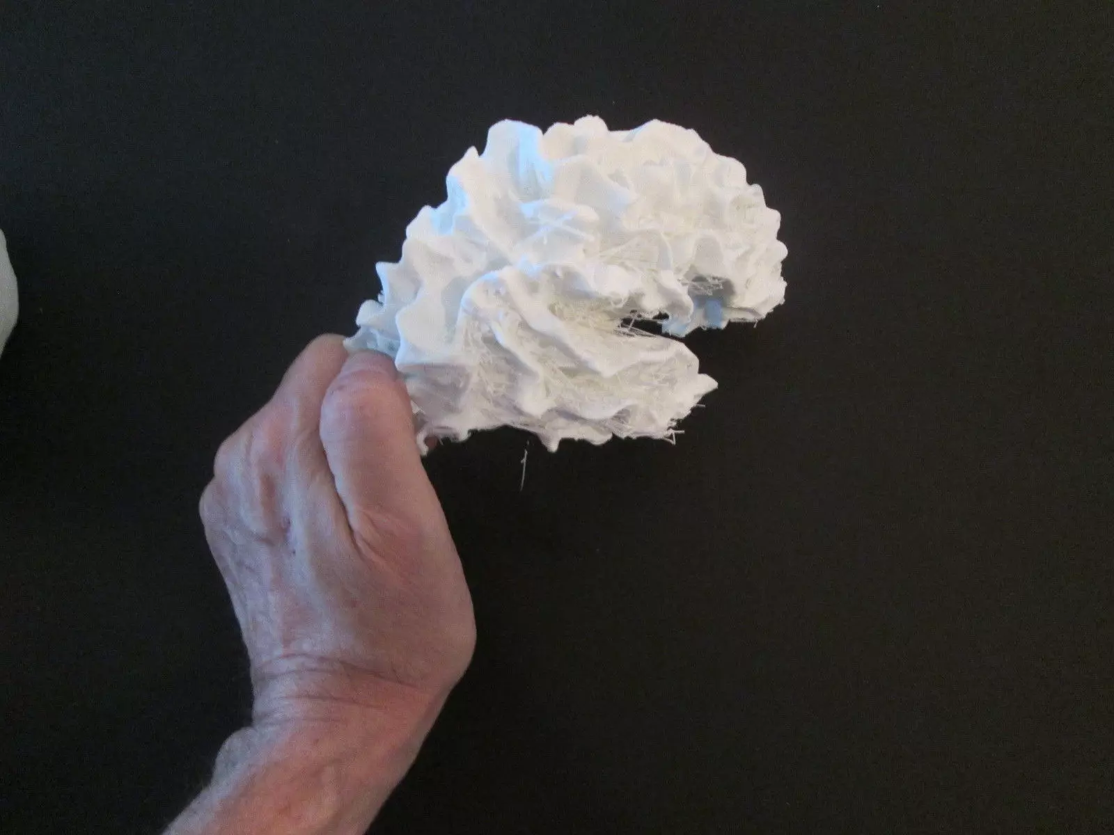 Brain Hemisphere White Matter of the Right Full-Scale 3D print model