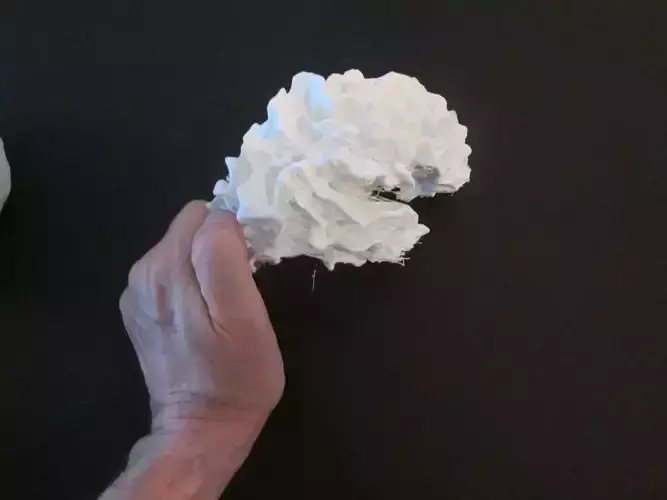 Brain Hemisphere White Matter of the Right Full-Scale 3D print model