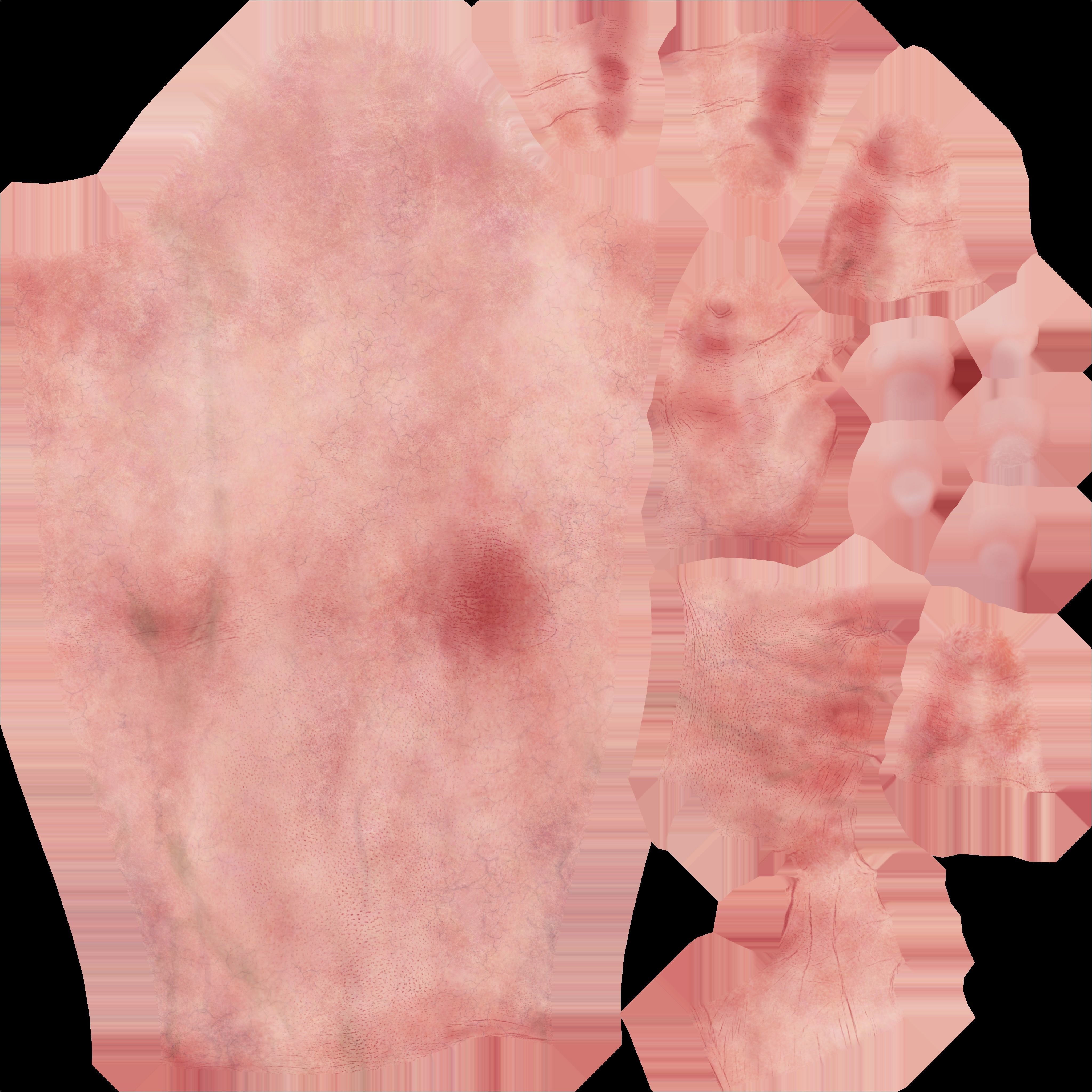 Hand Light skin LowPoly CG Low-poly 3D model_6