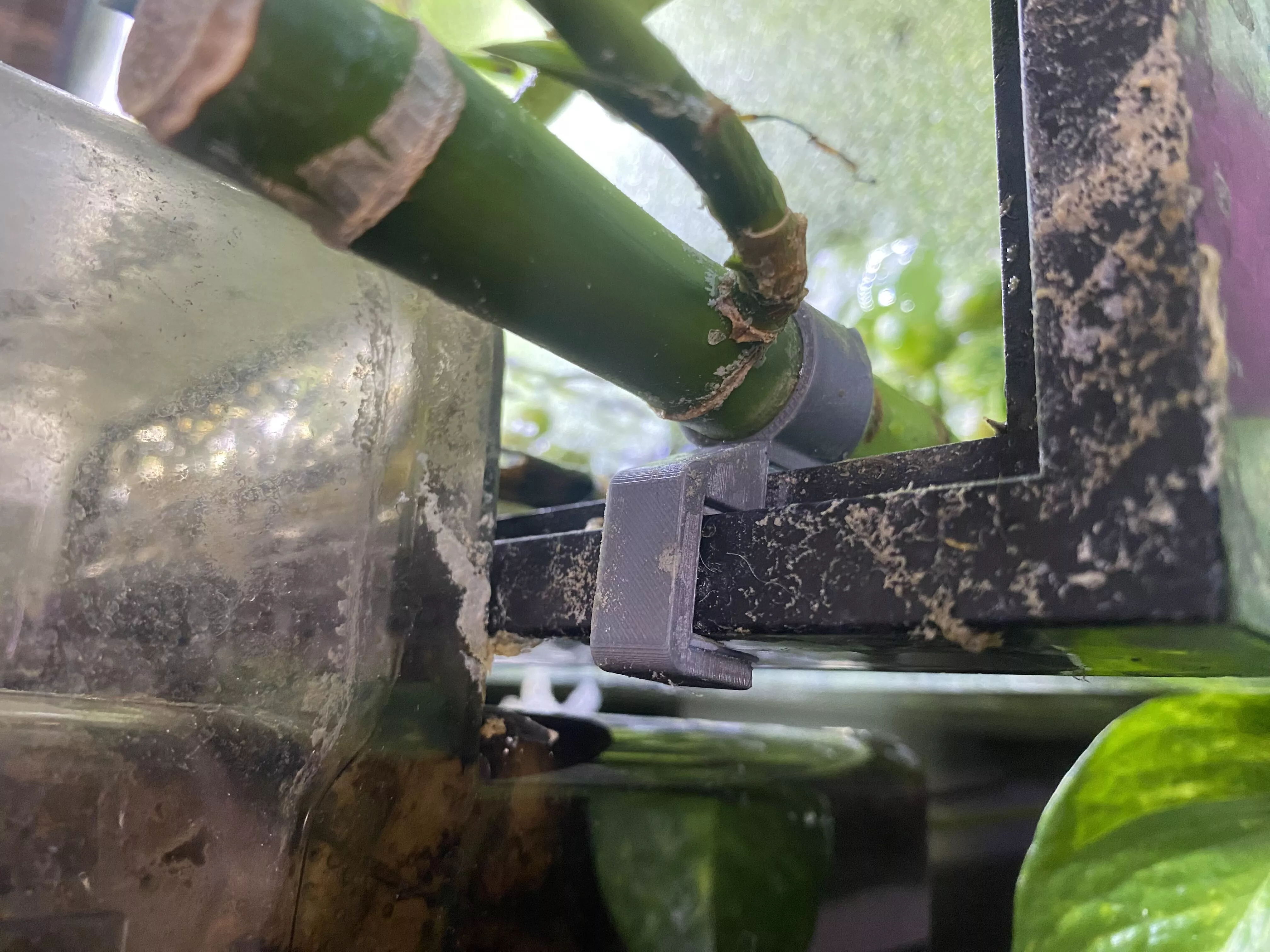 Bamboo Aquarium Clip Free 3D print model