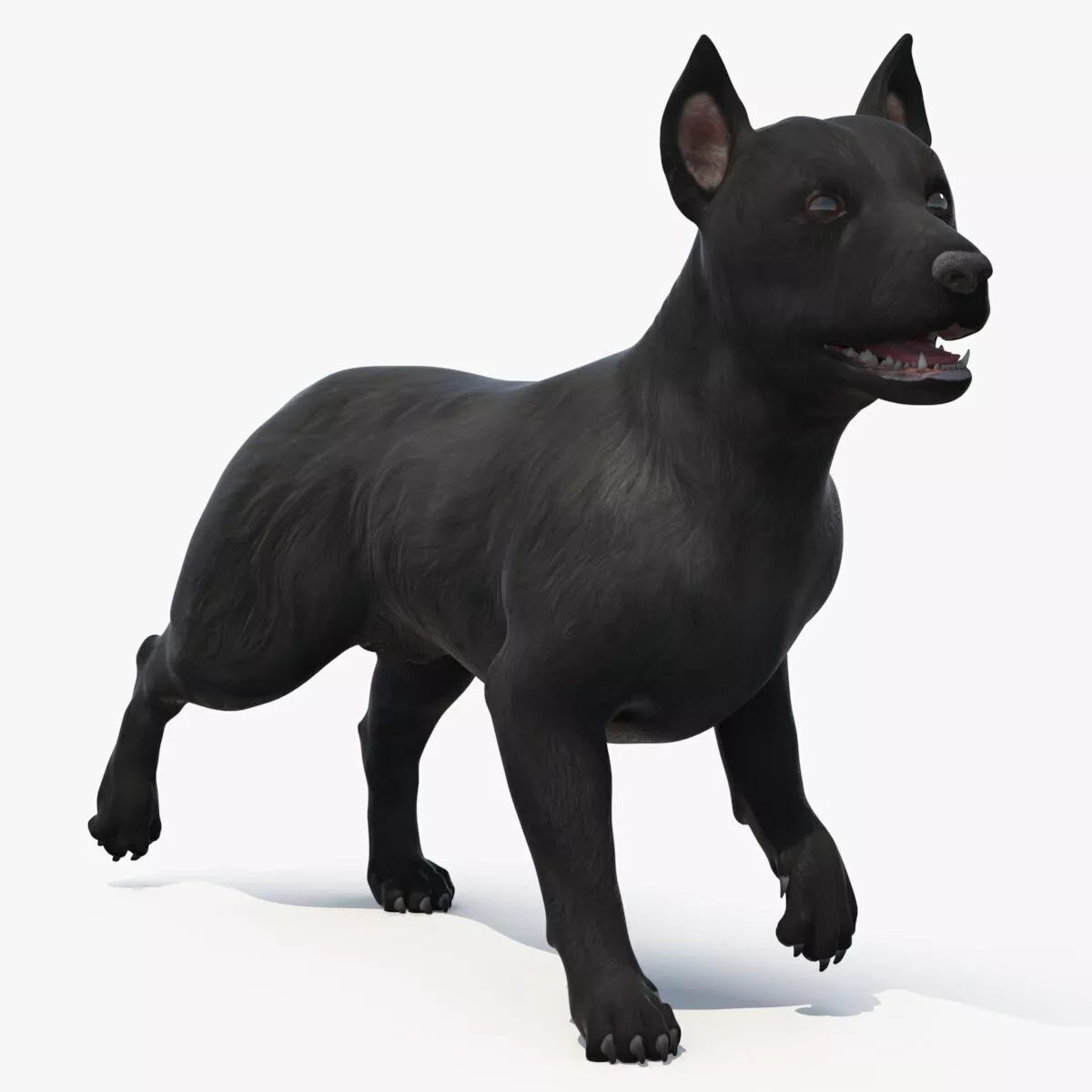 Mongrel Dog Dark Rigged 3D model