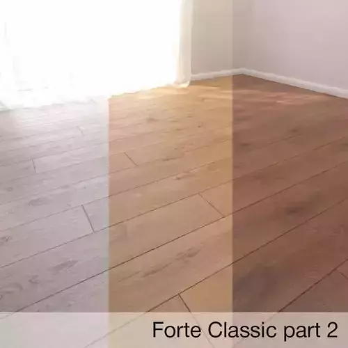 Parquet Floor Forte Classic part 2