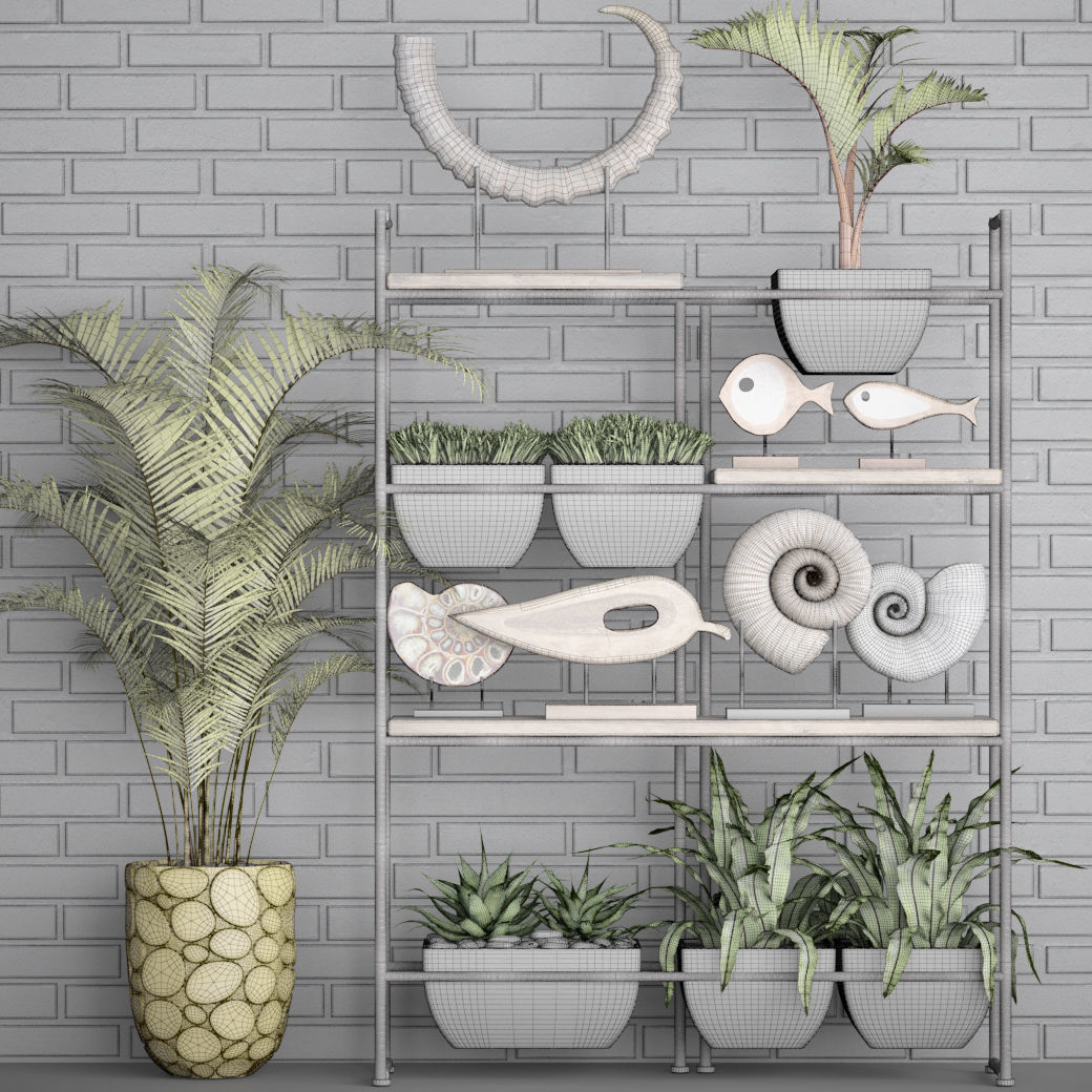 Decorative set plants on shelf 3D model_3