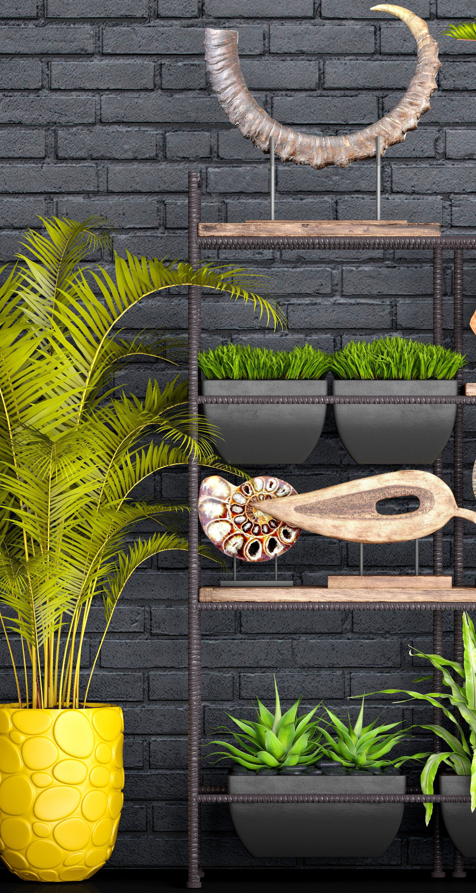 Decorative set plants on shelf 3D model_9