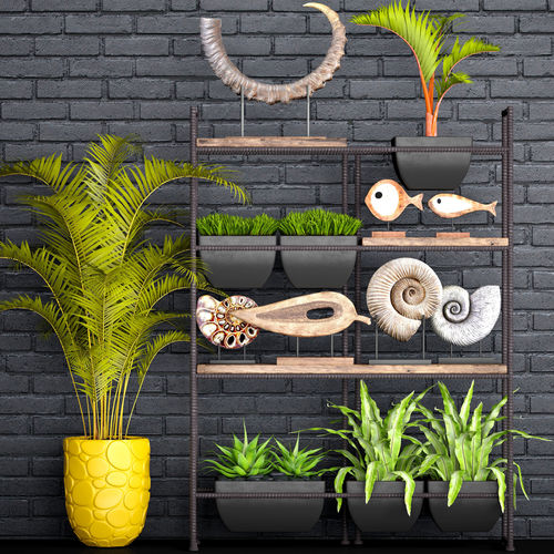Decorative set plants on shelf 3D model