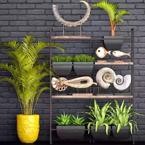Decorative set plants on shelf 3D model