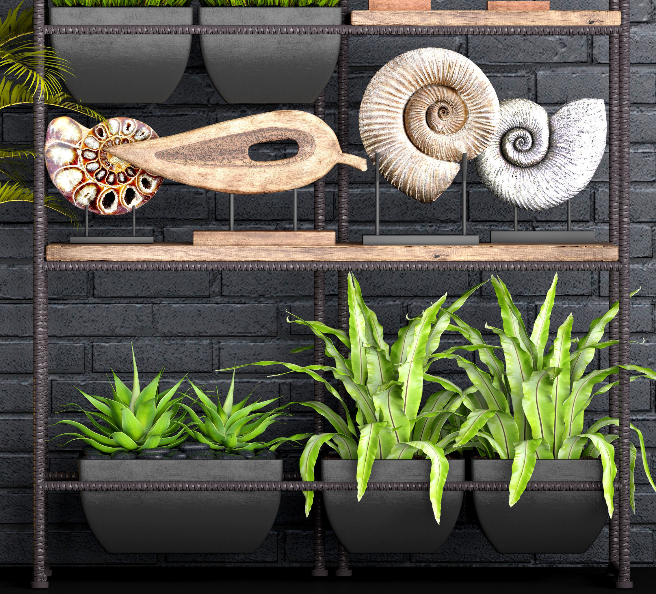 Decorative set plants on shelf 3D model_4