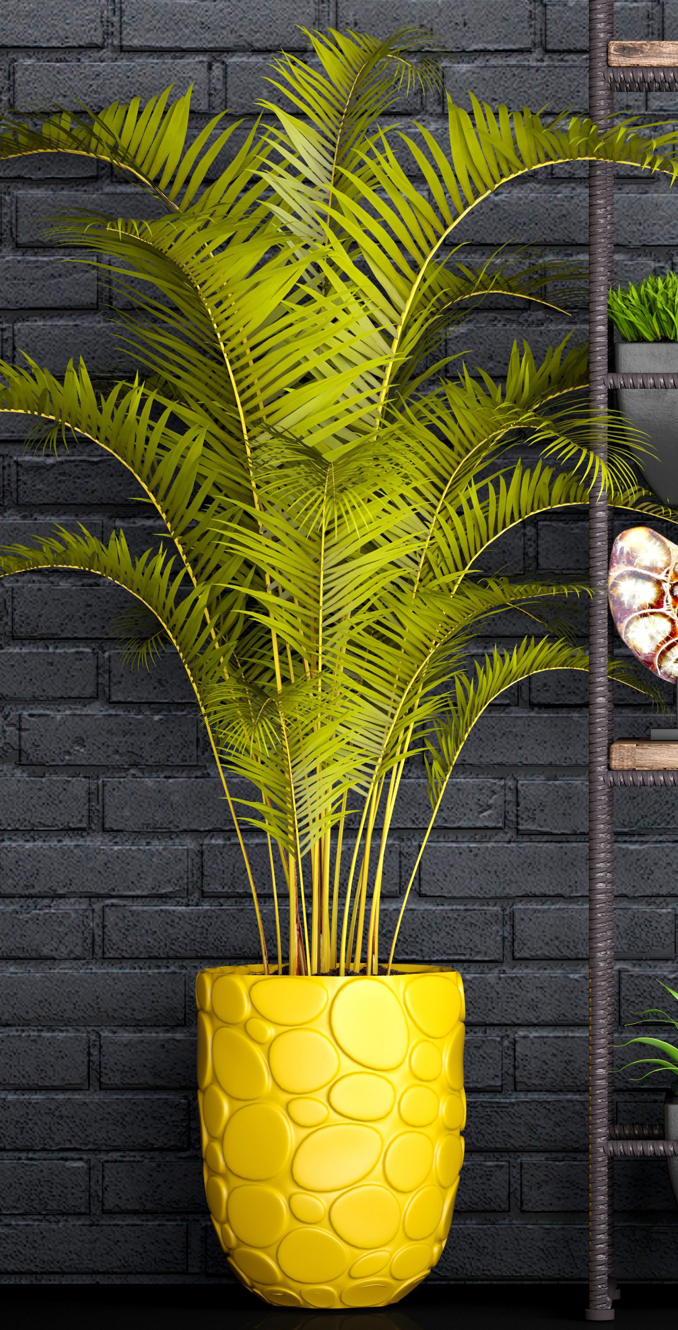 Decorative set plants on shelf 3D model_1
