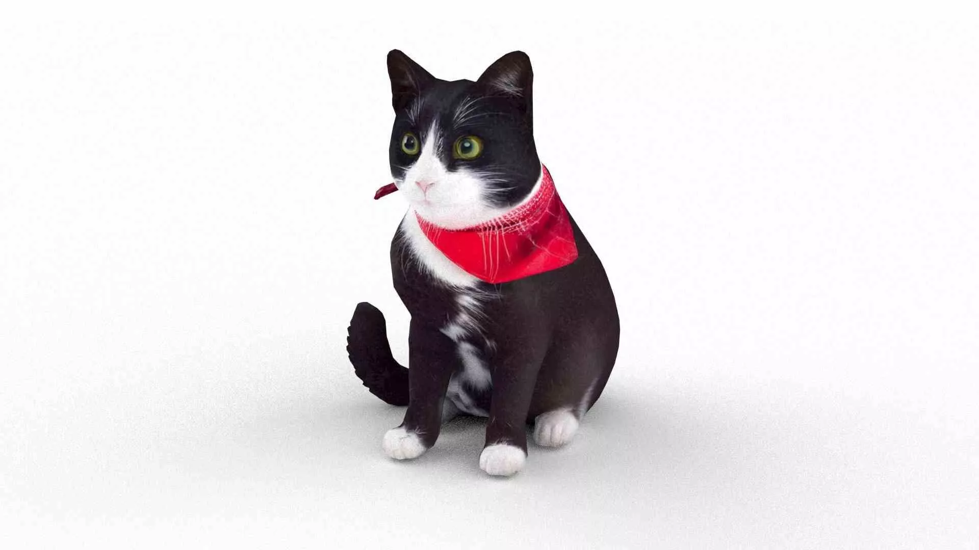 Sitting tuxedo cat Low-poly 3D model