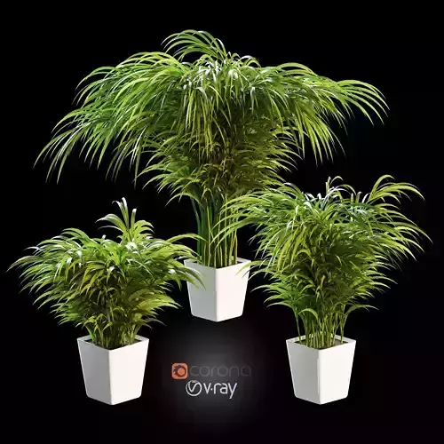 Palm tree in the pot 3 models