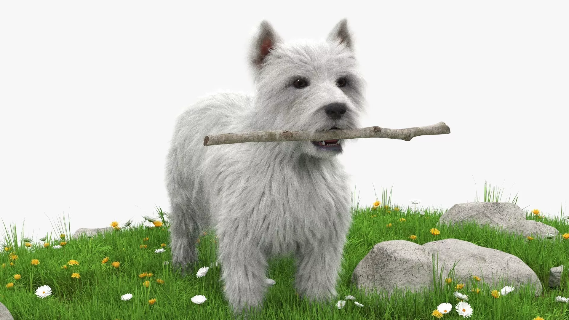 West Highland White Terrier with Blooming Flowers Fur 3D model