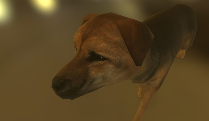 a doggg dog 3D model