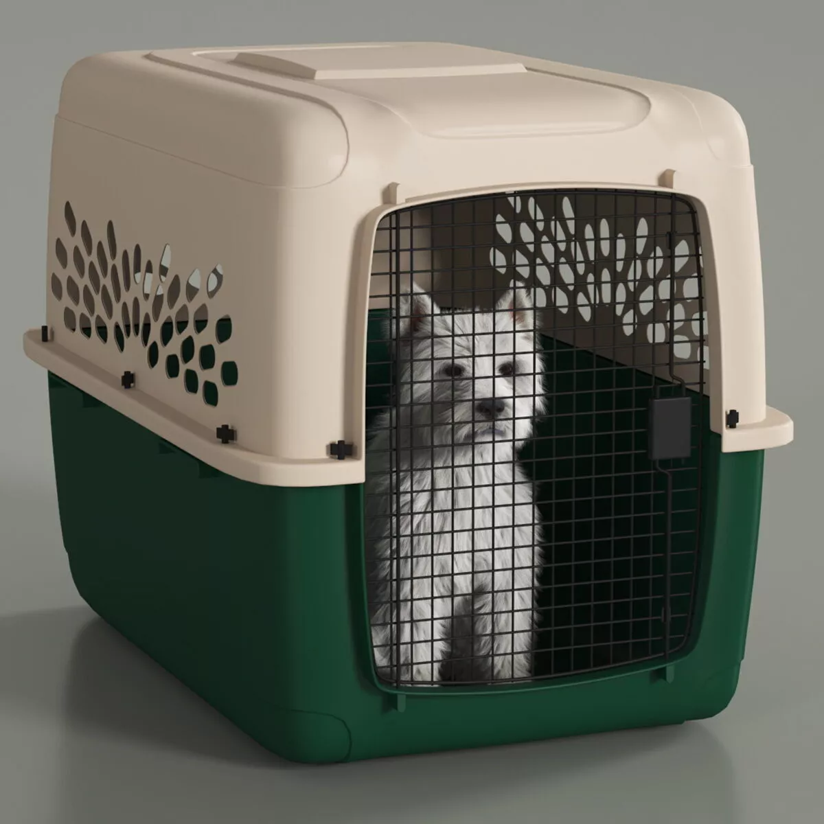 West Highland White Terrier in Pet Carrier Fur 3D model
