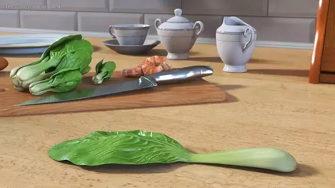 Whole Bok Choy Head Fresh 3D model 3