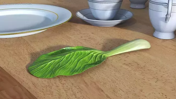 Whole Bok Choy Head Fresh 3D model 4